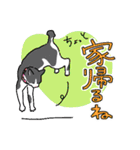 家族の日常会話～動物～（個別スタンプ：16）