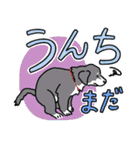 家族の日常会話～動物～（個別スタンプ：36）