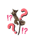 GIZMALᵃⁿᵈPK2（個別スタンプ：1）