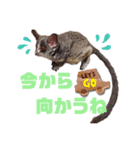 GIZMALᵃⁿᵈPK2（個別スタンプ：2）