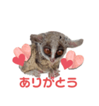 GIZMALᵃⁿᵈPK2（個別スタンプ：5）