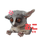 GIZMALᵃⁿᵈPK2（個別スタンプ：6）