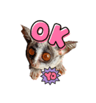GIZMALᵃⁿᵈPK2（個別スタンプ：7）