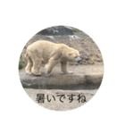 北海道・円山の動物たち（個別スタンプ：30）