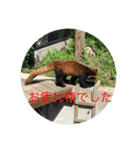 旭山の動物スタンプ1（個別スタンプ：18）