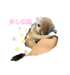 ミーアキャットのかわいいunoちゃんです！（個別スタンプ：4）
