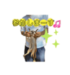 ミーアキャットのかわいいunoちゃんです！（個別スタンプ：40）