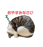 ミリンとラック時々ワンタン（個別スタンプ：1）