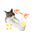 ミリンとラック時々ワンタン（個別スタンプ：3）