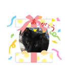 ミリンとラック時々ワンタン（個別スタンプ：15）
