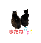 ミリンとラック時々ワンタン（個別スタンプ：18）
