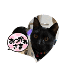 ミリンとラック時々ワンタン（個別スタンプ：19）
