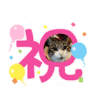 ミリンとラック時々ワンタン（個別スタンプ：26）
