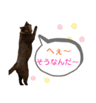 ミリンとラック時々ワンタン（個別スタンプ：28）