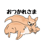 友達の家の犬の友達（個別スタンプ：3）