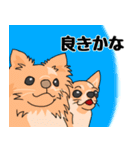 友達の家の犬の友達（個別スタンプ：7）