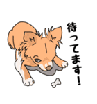 友達の家の犬の友達（個別スタンプ：10）