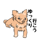 友達の家の犬の友達（個別スタンプ：13）