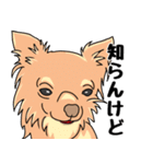 友達の家の犬の友達（個別スタンプ：16）