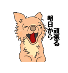 友達の家の犬の友達（個別スタンプ：19）