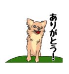 友達の家の犬の友達（個別スタンプ：20）