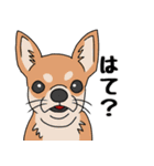 友達の家の犬の友達（個別スタンプ：27）