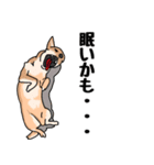 友達の家の犬の友達（個別スタンプ：36）