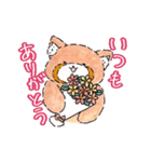 あらいぐまPONちゃん（個別スタンプ：31）