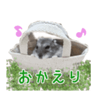 ☆ウメマメ☆スタンプ（個別スタンプ：2）