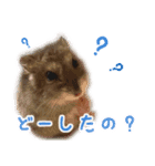 ☆ウメマメ☆スタンプ（個別スタンプ：4）