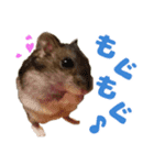 ☆ウメマメ☆スタンプ（個別スタンプ：8）