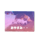パピヨンすたんぷ4（個別スタンプ：14）