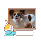 パピヨンすたんぷ4（個別スタンプ：19）