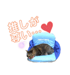 蕎麦粉（そばこ）（個別スタンプ：11）