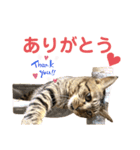蕎麦粉（そばこ）（個別スタンプ：17）
