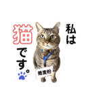 蕎麦粉（そばこ）（個別スタンプ：28）