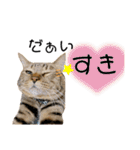 蕎麦粉（そばこ）（個別スタンプ：29）