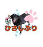 犬スタンプvol2（個別スタンプ：18）