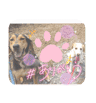 犬スタンプvol2（個別スタンプ：26）