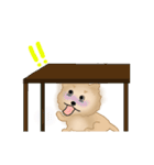 動くモコモコわんこの日常スタンプ（個別スタンプ：19）