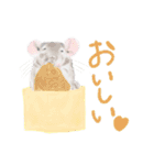 おいしくてかわいいチンチラ（個別スタンプ：28）