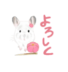 おいしくてかわいいチンチラ（個別スタンプ：30）