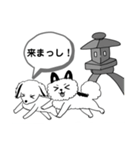 くるみちゃんとポン太くんのスタンプ1（個別スタンプ：1）