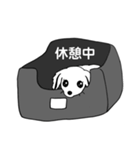 くるみちゃんとポン太くんのスタンプ1（個別スタンプ：3）