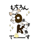 【Big】シーズー犬 98『・・・』（個別スタンプ：4）