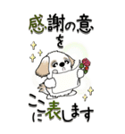 【Big】シーズー犬 98『・・・』（個別スタンプ：8）