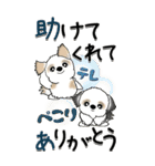 【Big】シーズー犬 98『・・・』（個別スタンプ：11）