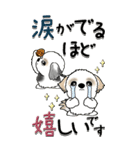 【Big】シーズー犬 98『・・・』（個別スタンプ：16）