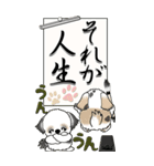 【Big】シーズー犬 98『・・・』（個別スタンプ：33）