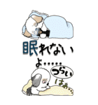 【Big】シーズー犬 98『・・・』（個別スタンプ：40）